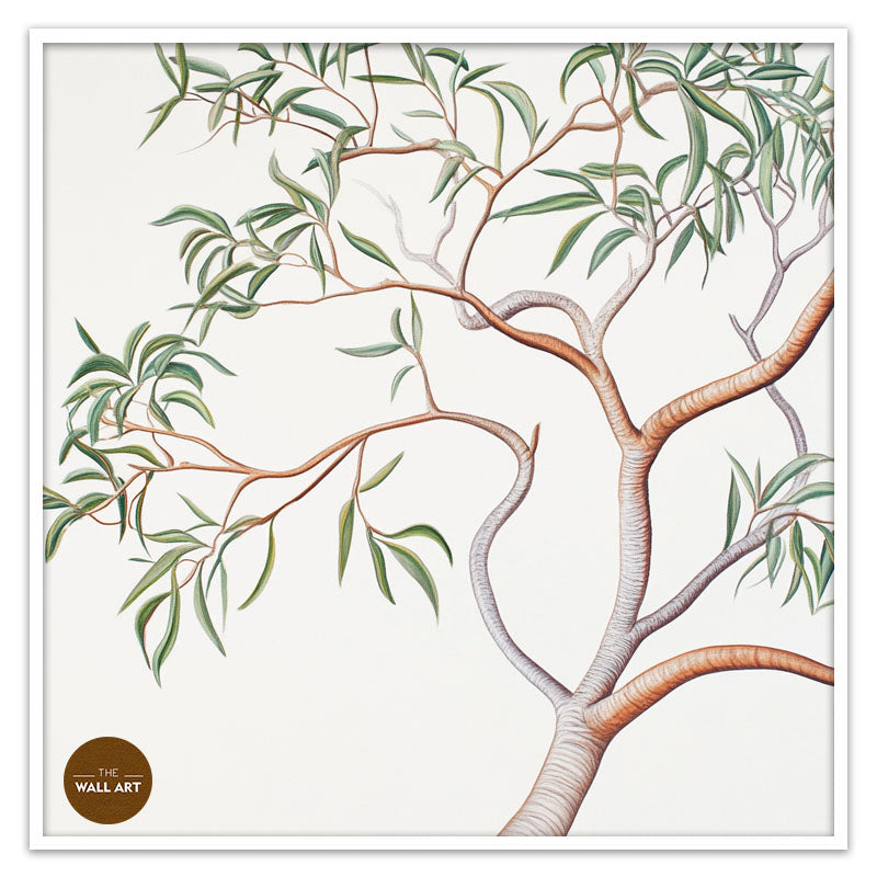 AUSTRALIAN SANDALWOOD BRANCH