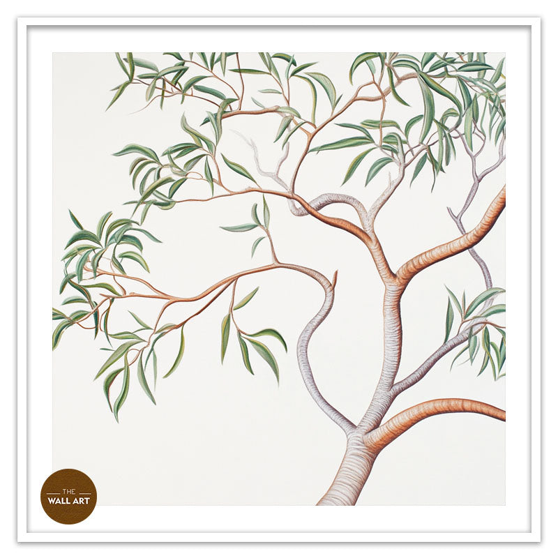 AUSTRALIAN SANDALWOOD BRANCH