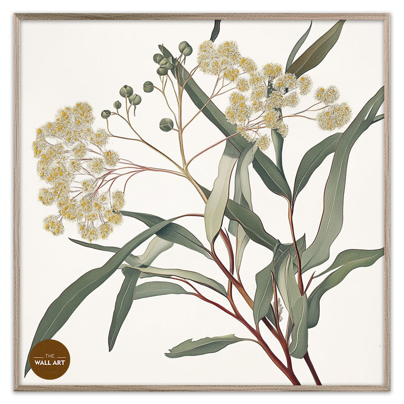 AUSTRALIAN SANDALWOOD