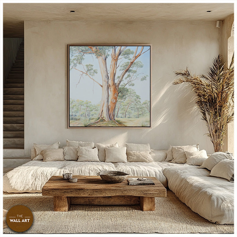 AUSTRALIAN SANDALWOOD TREE