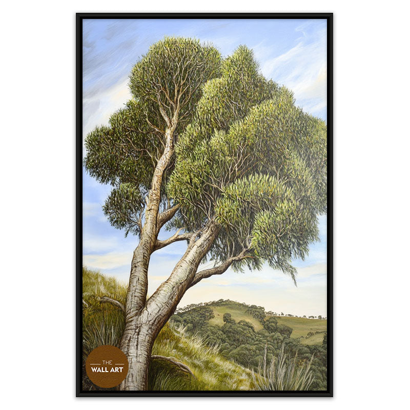 AUSTRALIAN TEA TREE
