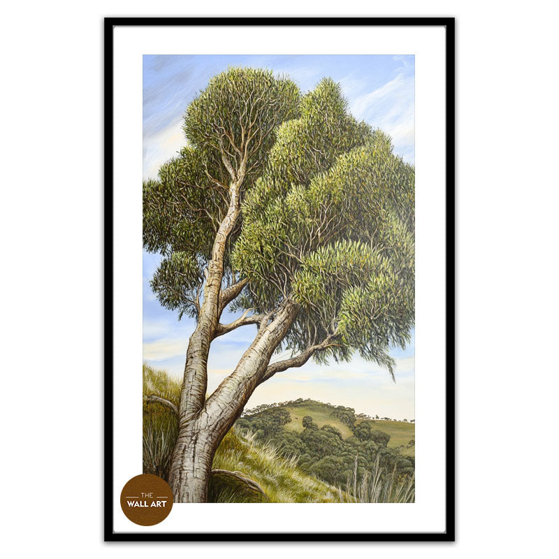 AUSTRALIAN TEA TREE