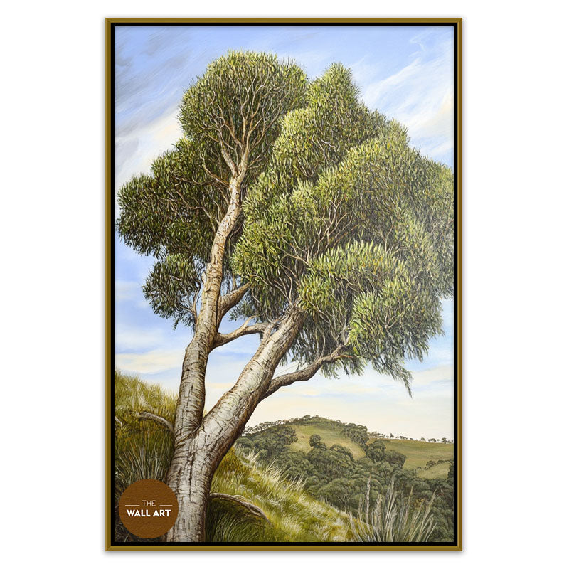 AUSTRALIAN TEA TREE