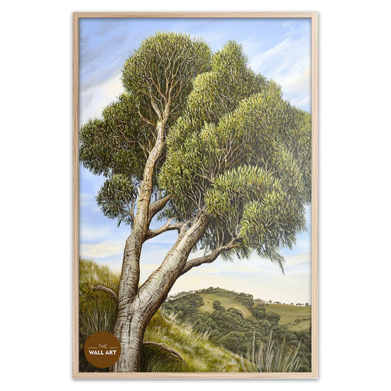 AUSTRALIAN TEA TREE