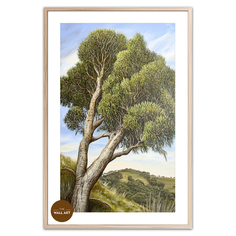 AUSTRALIAN TEA TREE