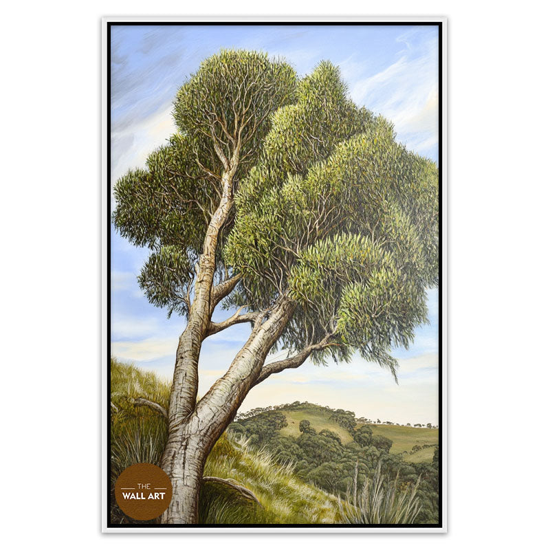 AUSTRALIAN TEA TREE