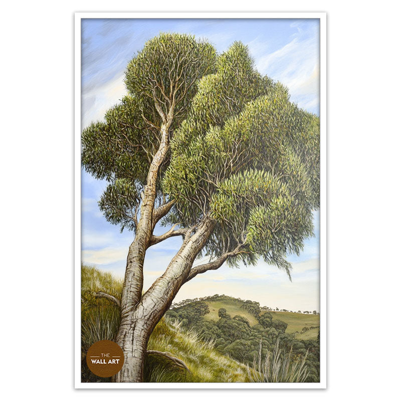 AUSTRALIAN TEA TREE