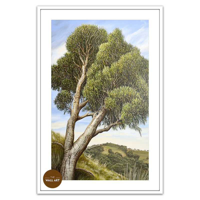 AUSTRALIAN TEA TREE