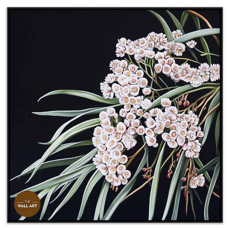 AUSTRALIAN WHITE RICE FLOWERS