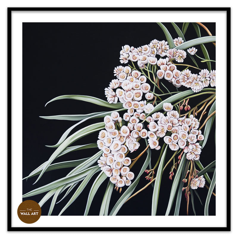 AUSTRALIAN WHITE RICE FLOWERS
