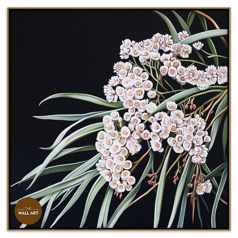 AUSTRALIAN WHITE RICE FLOWERS
