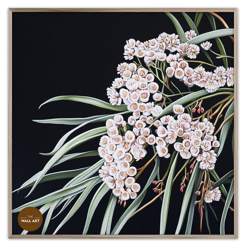 AUSTRALIAN WHITE RICE FLOWERS