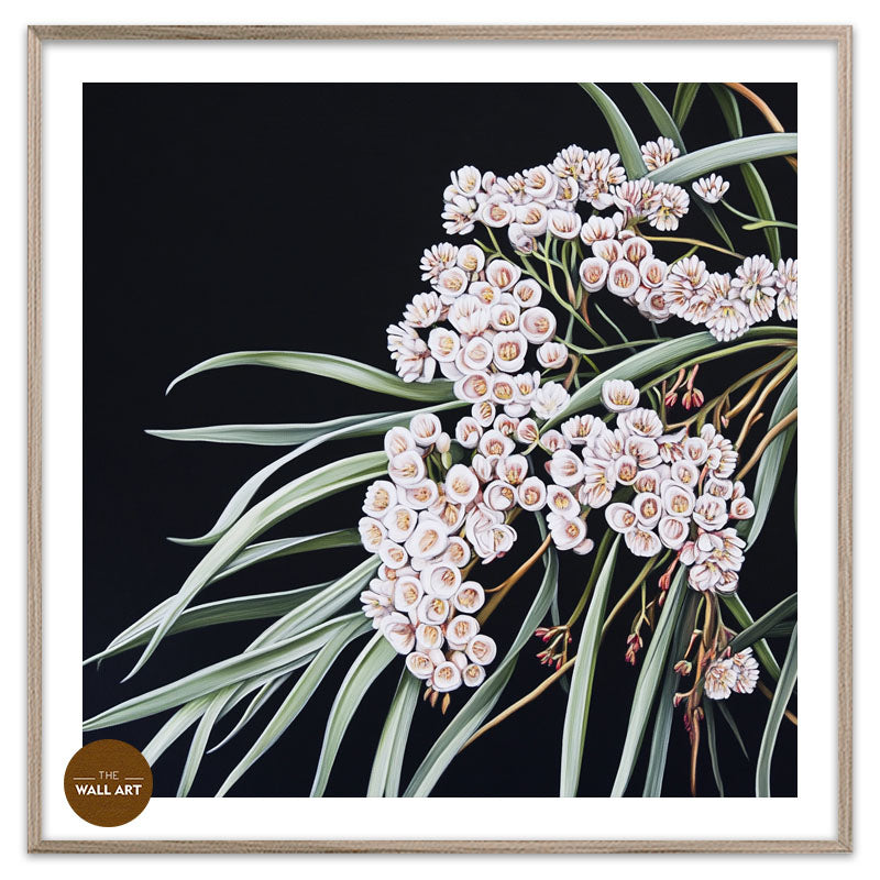 AUSTRALIAN WHITE RICE FLOWERS