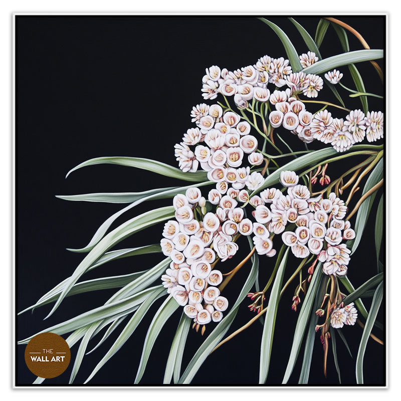 AUSTRALIAN WHITE RICE FLOWERS
