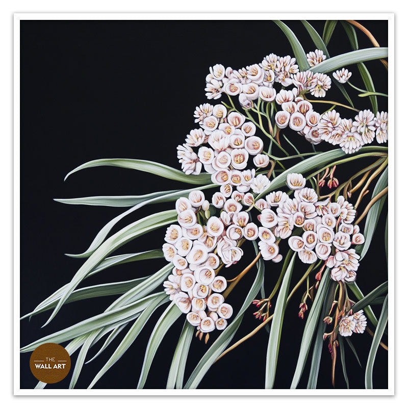 AUSTRALIAN WHITE RICE FLOWERS