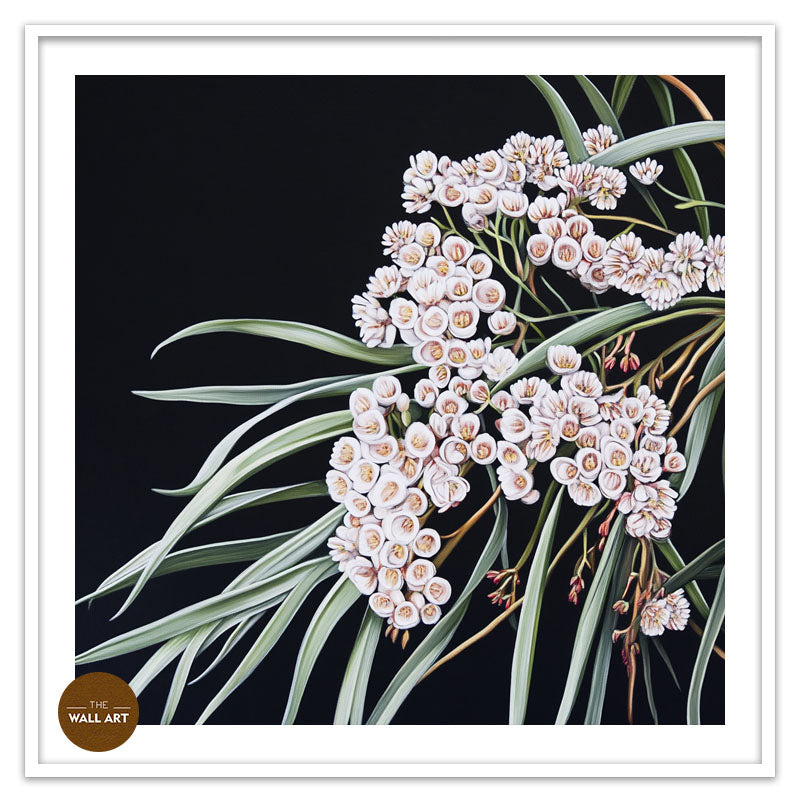 AUSTRALIAN WHITE RICE FLOWERS