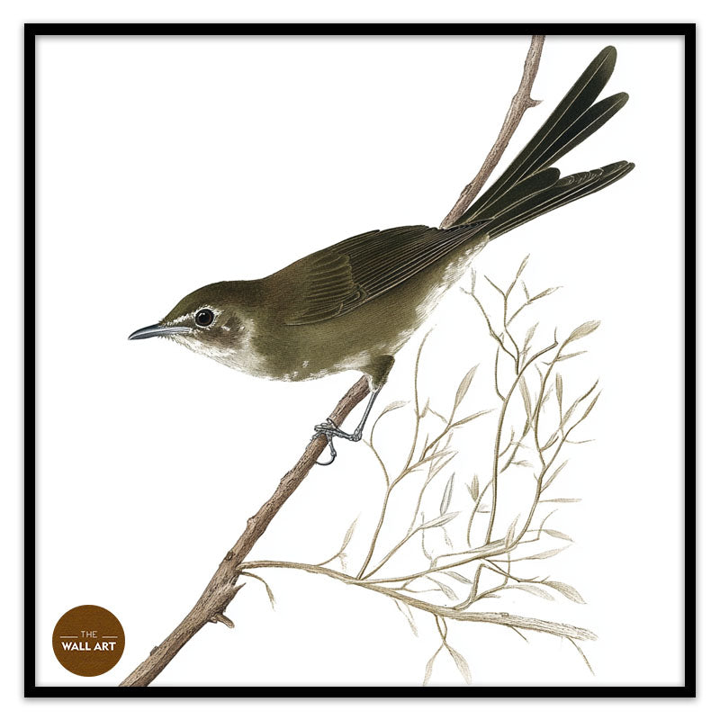 BLACK BIRD