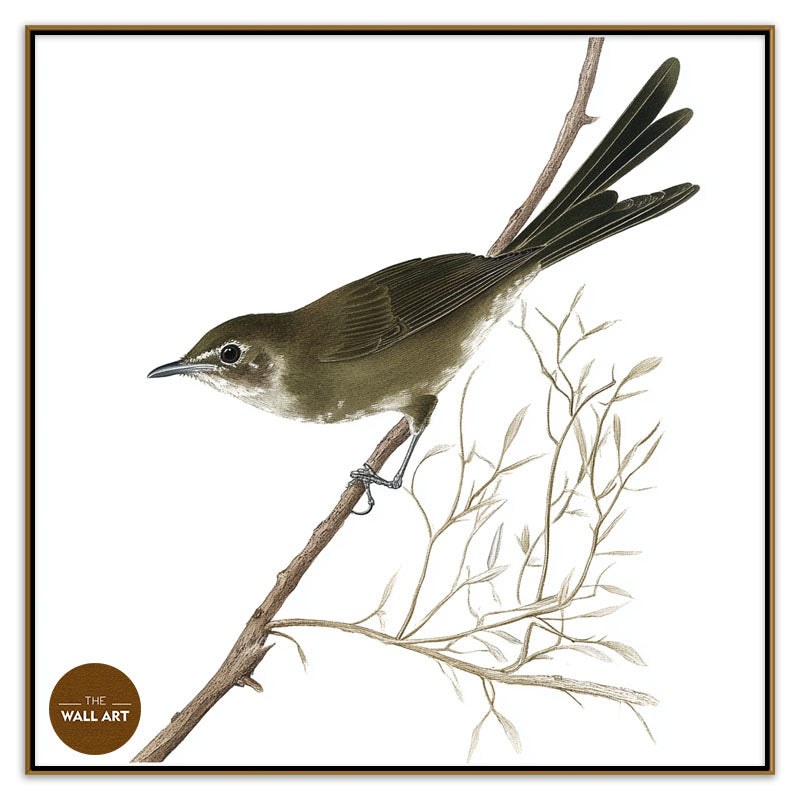 BLACK BIRD