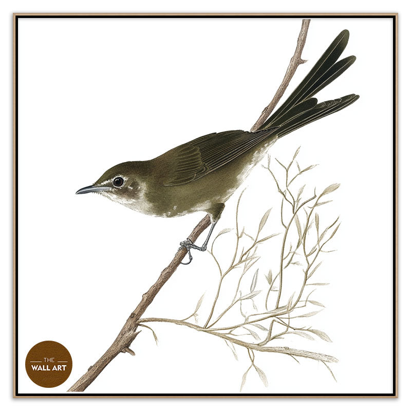 BLACK BIRD