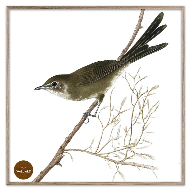 BLACK BIRD