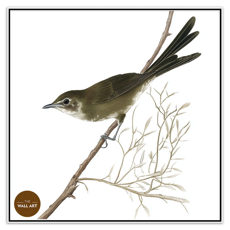 BLACK BIRD