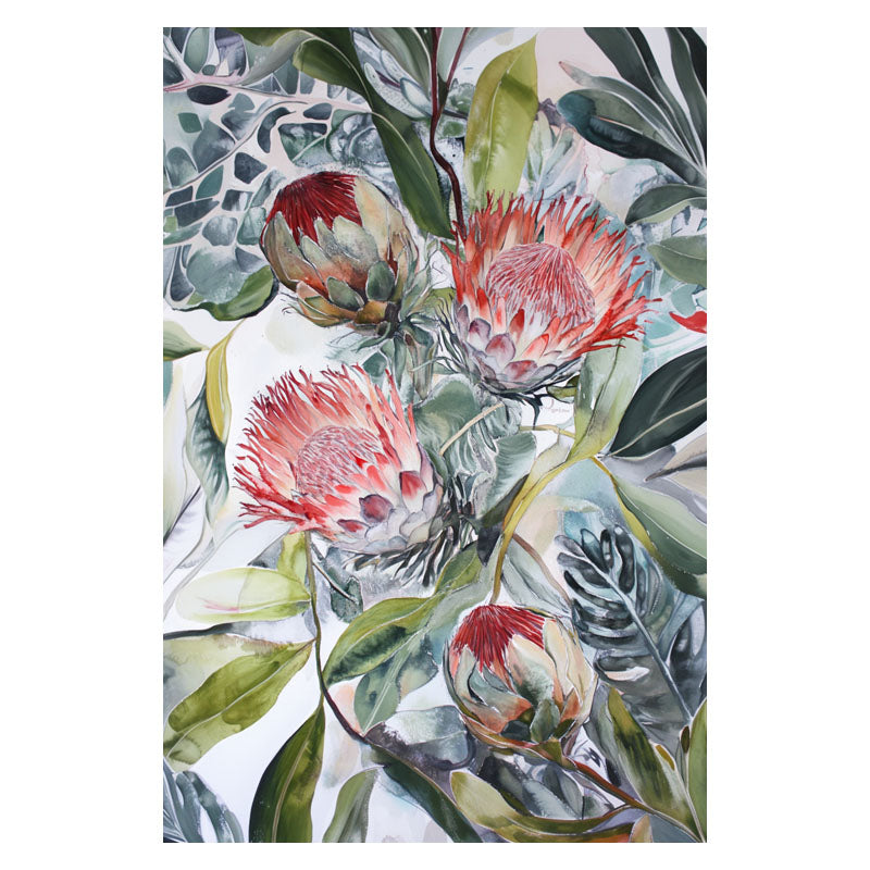 BLOOMING KING PROTEA