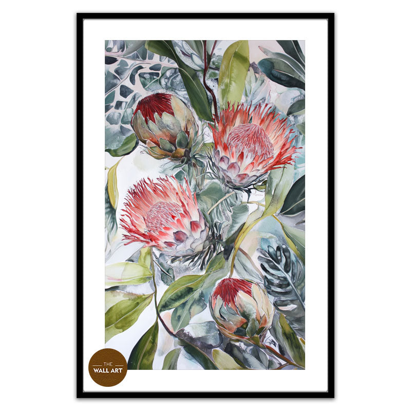 BLOOMING KING PROTEA