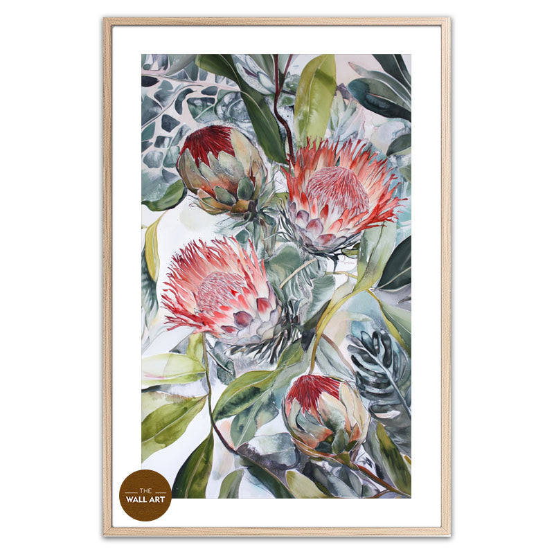 BLOOMING KING PROTEA