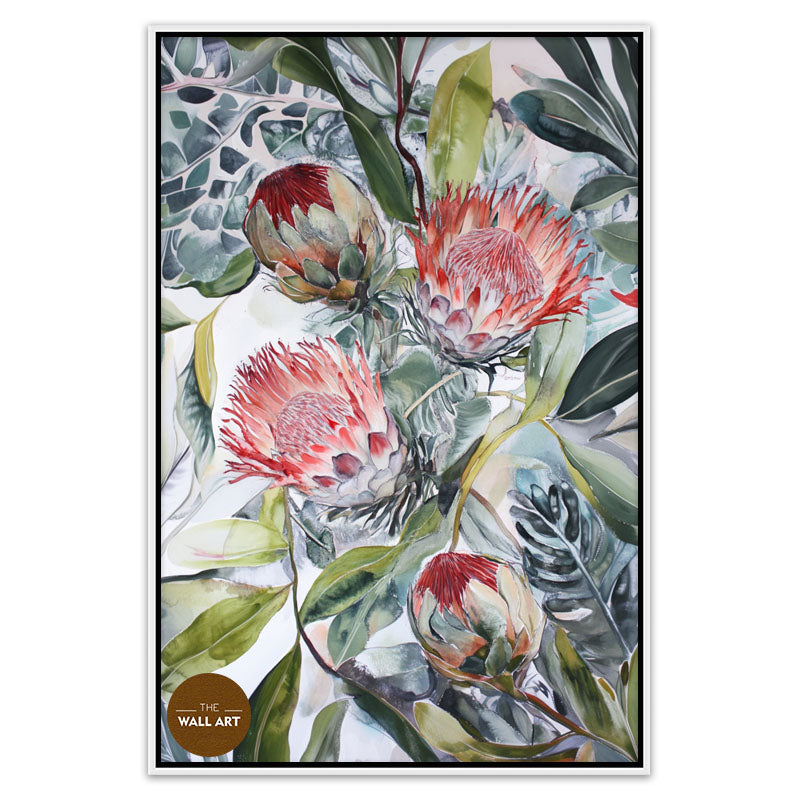 BLOOMING KING PROTEA