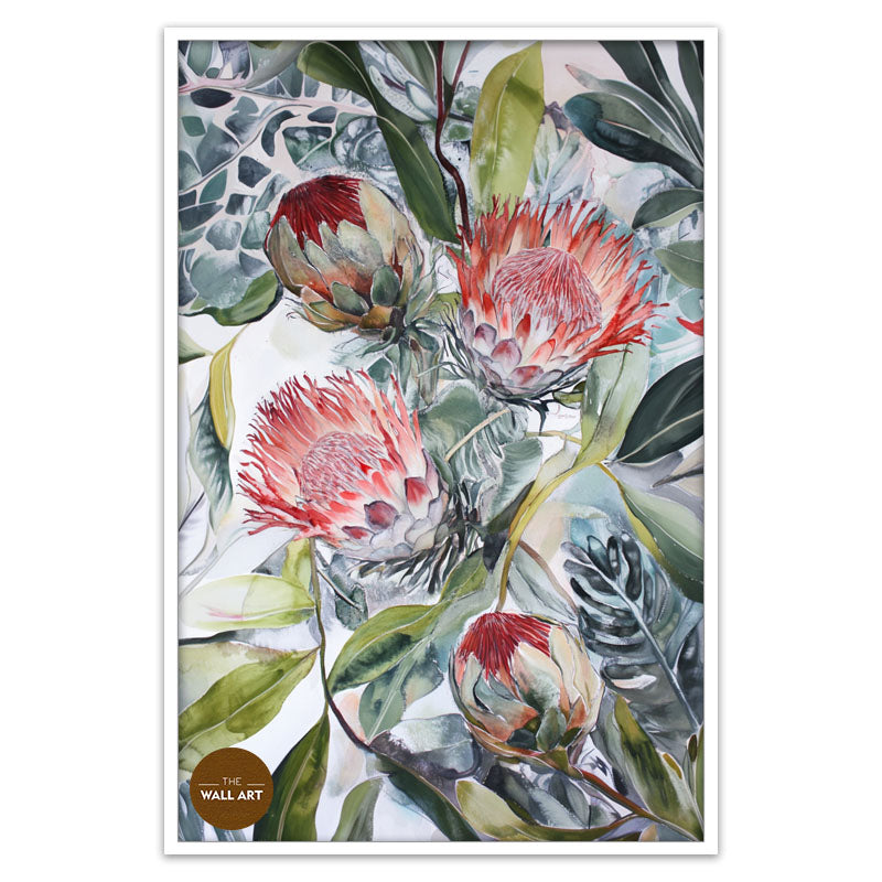 BLOOMING KING PROTEA