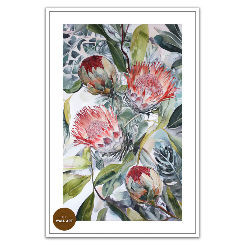 BLOOMING KING PROTEA