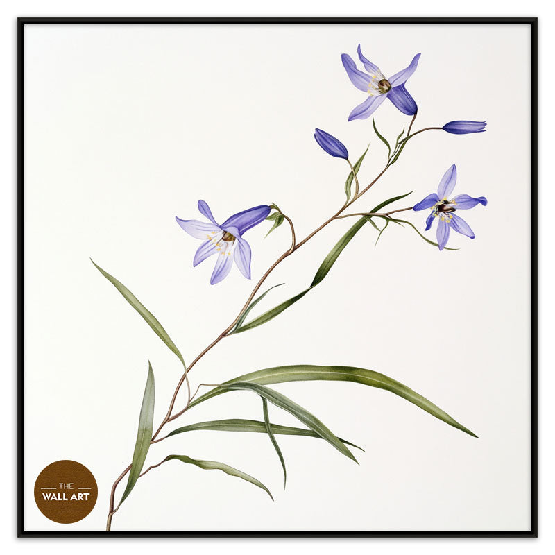 BLUEBELL BRANCH