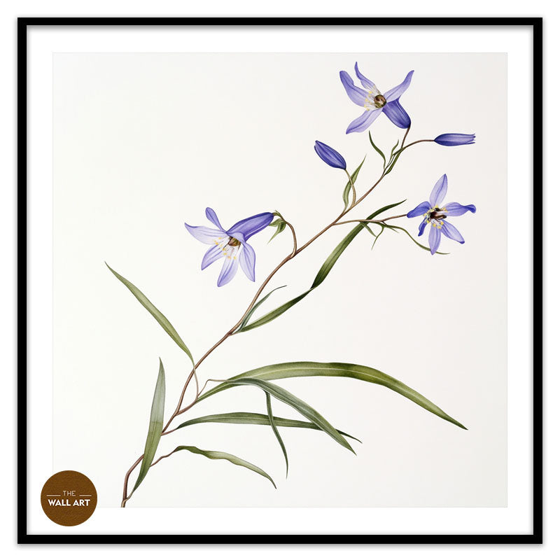 BLUEBELL BRANCH