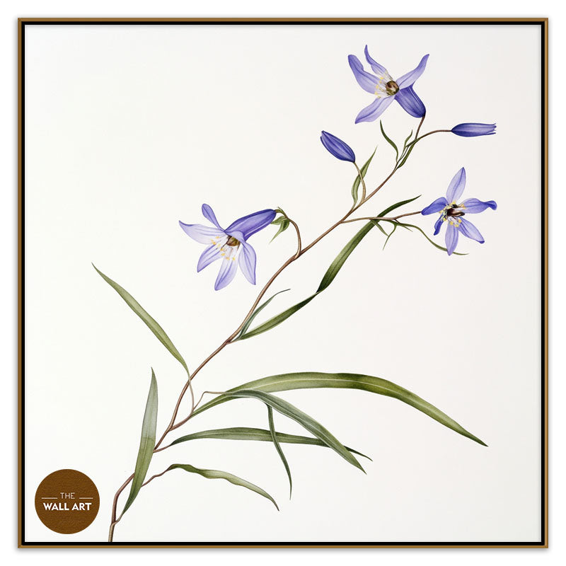 BLUEBELL BRANCH