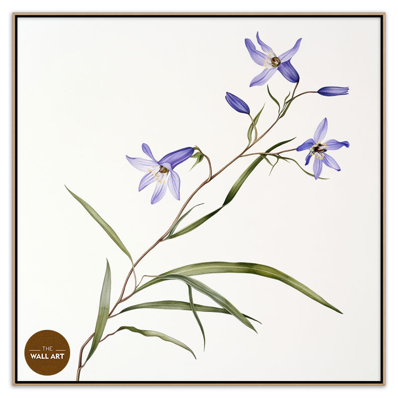 BLUEBELL BRANCH