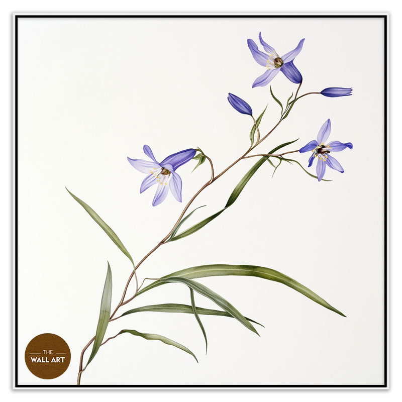 BLUEBELL BRANCH