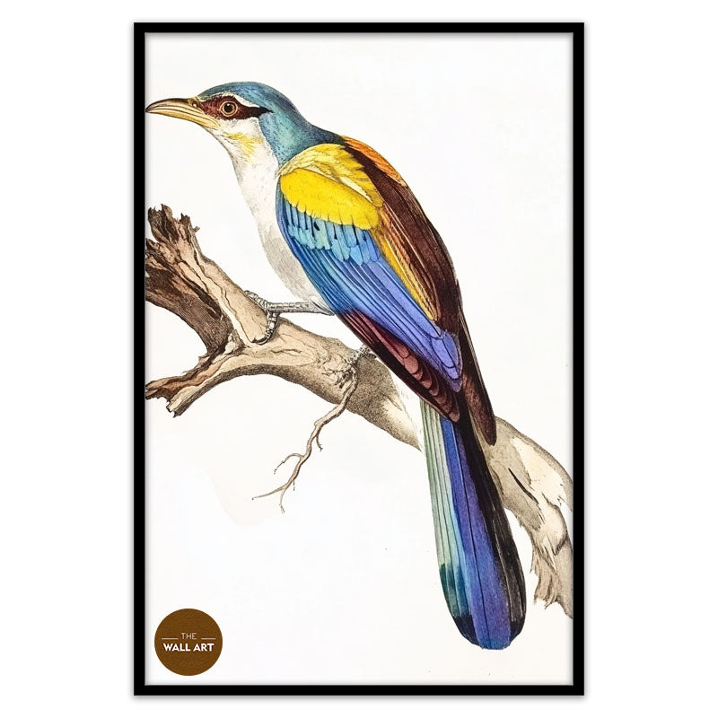 COLOUFULL BIRD ON BRANCH
