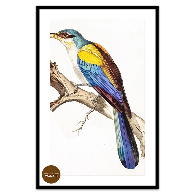 COLOUFULL BIRD ON BRANCH
