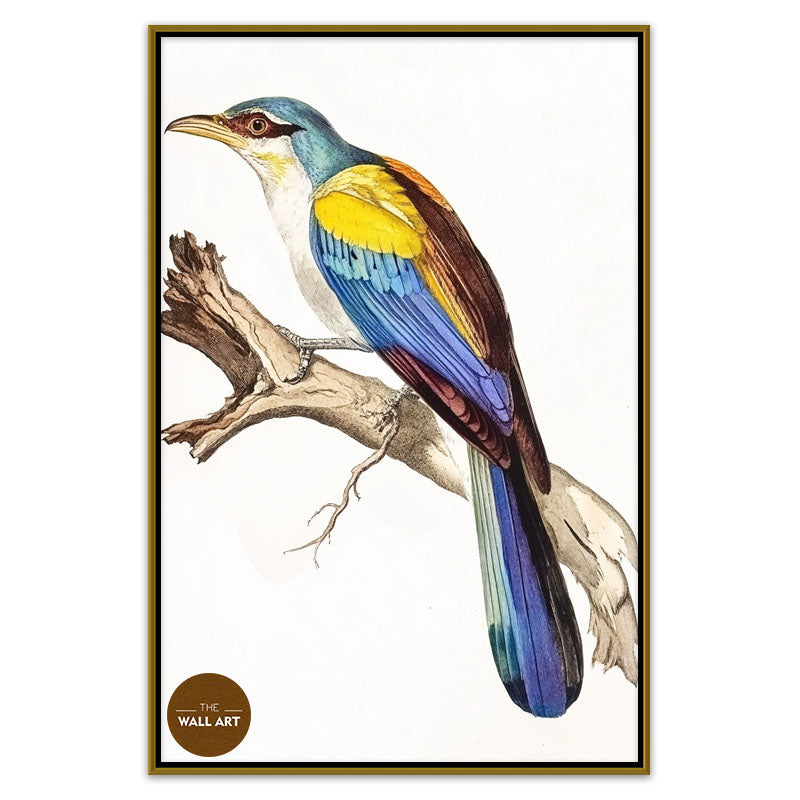 COLOUFULL BIRD ON BRANCH