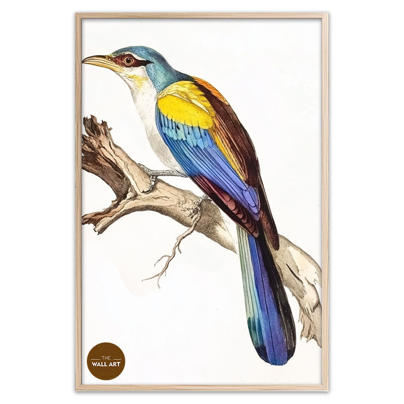 COLOUFULL BIRD ON BRANCH