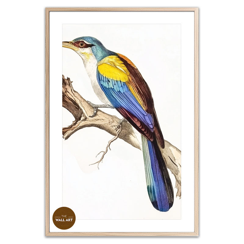 COLOUFULL BIRD ON BRANCH