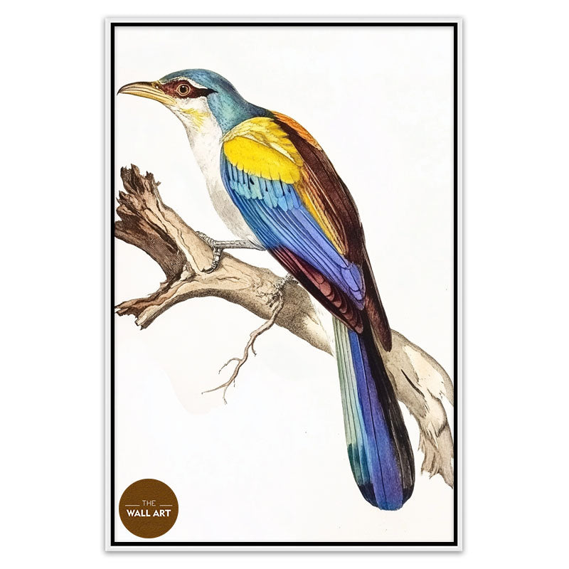 COLOUFULL BIRD ON BRANCH