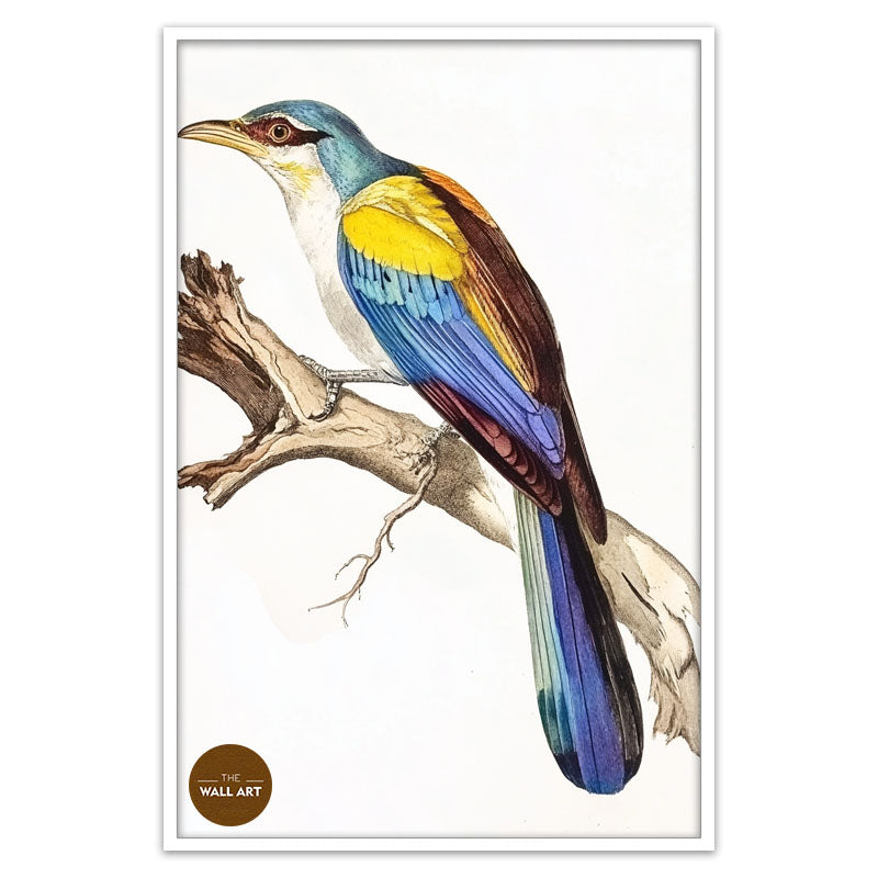 COLOUFULL BIRD ON BRANCH