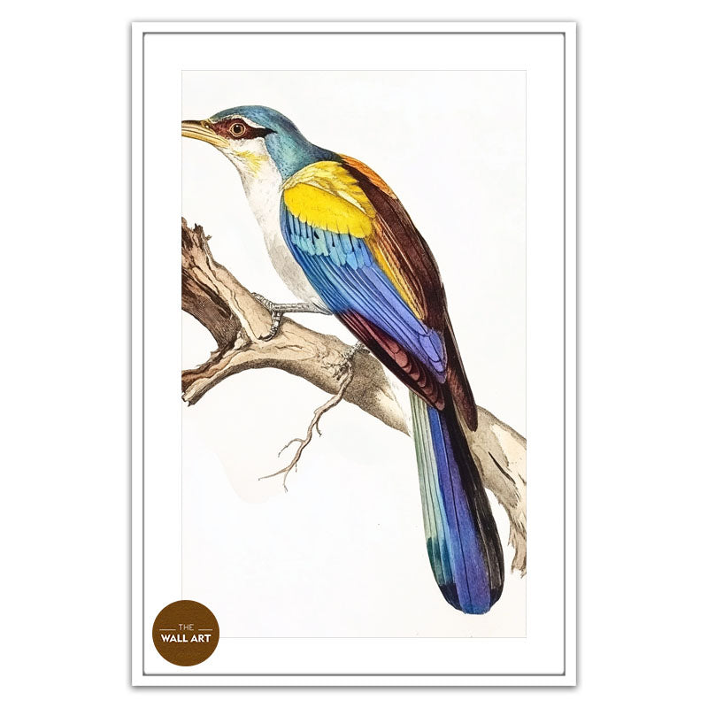 COLOUFULL BIRD ON BRANCH