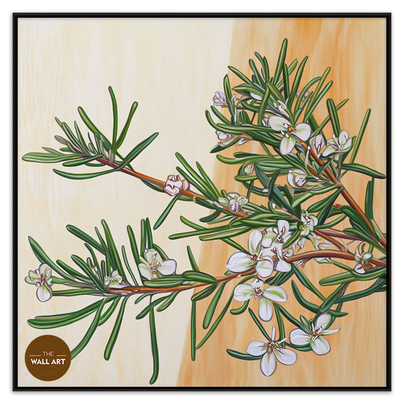 COASTAL_ROSEMARY