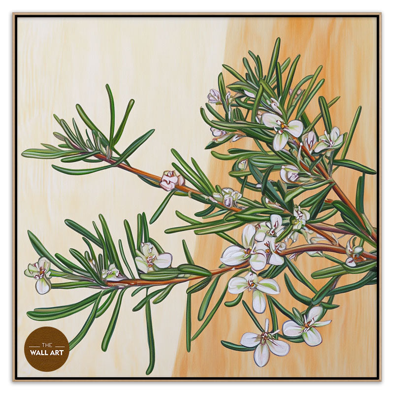 COASTAL_ROSEMARY