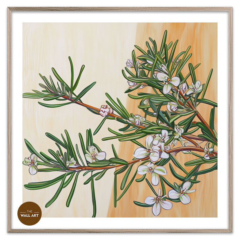 COASTAL_ROSEMARY