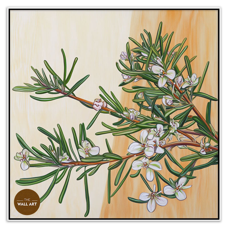 COASTAL_ROSEMARY