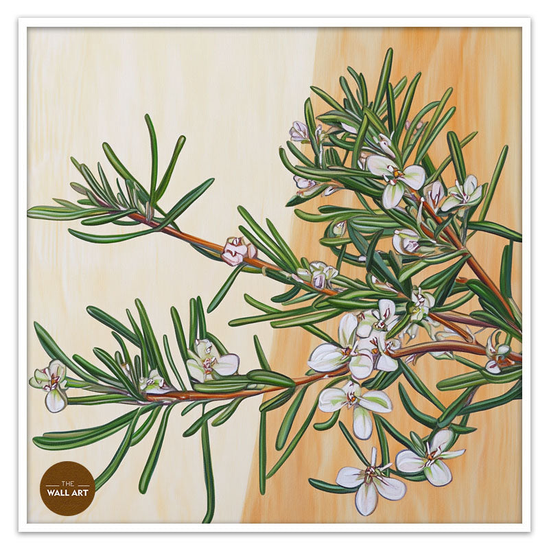 COASTAL_ROSEMARY