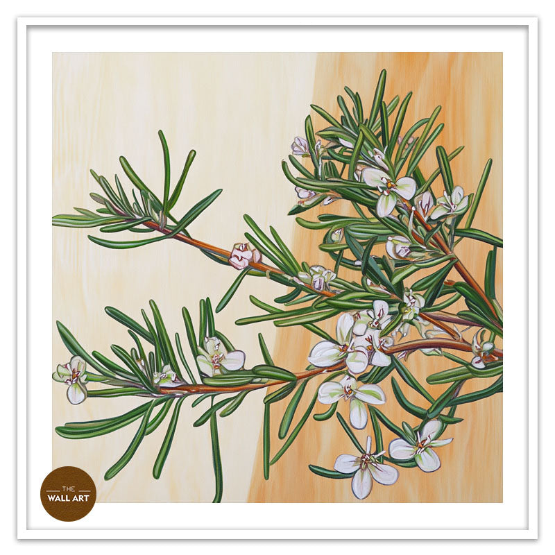 COASTAL_ROSEMARY